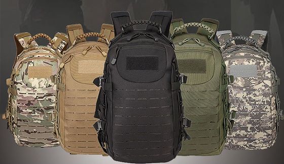 Entrenamiento al aire libre Mochila impermeable con sistema Molle y espalda curva fisiológica